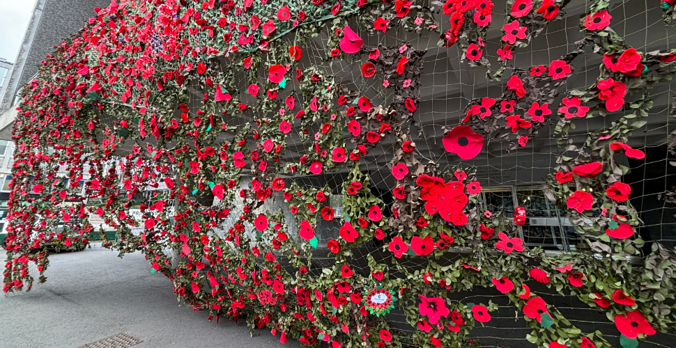 Poppy Wave at Plymouth's Council House
